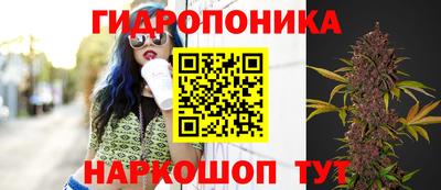 a pvp Славянск-на-Кубани