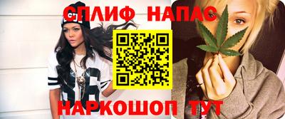 тгк Сланцы