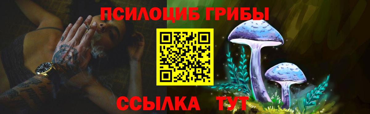 Новочебоксарск  Галлюциногенные грибы Psilocybe  Вход с VPN 