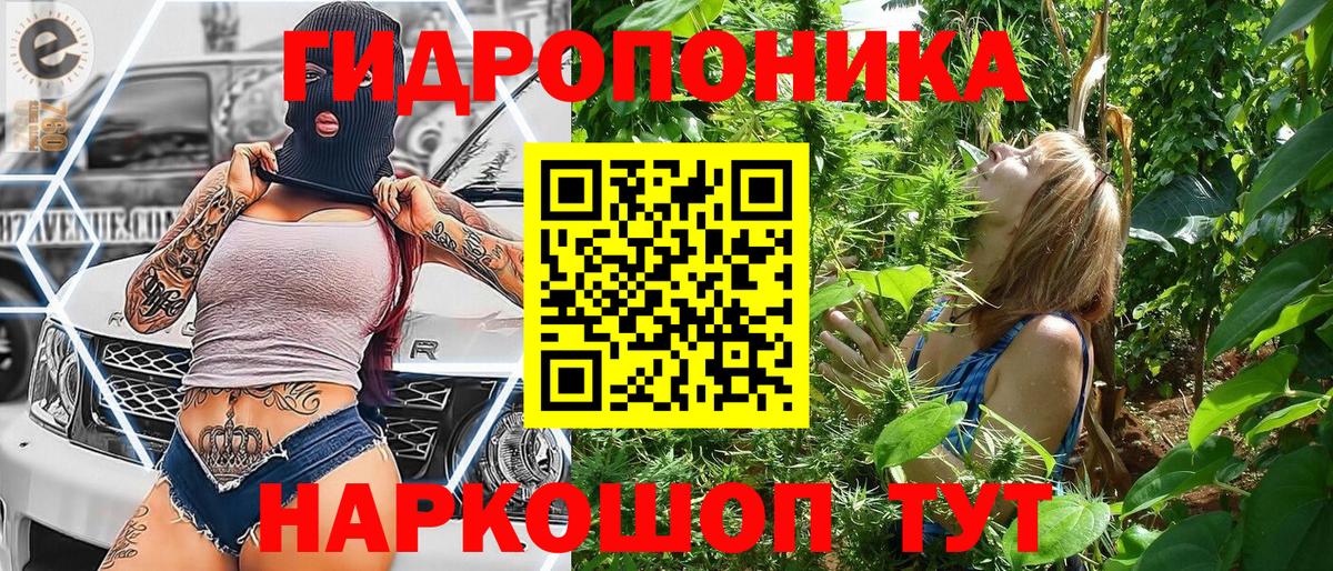 Бошки Шишки White Widow  Вход с VPN  Новочебоксарск  Каннабис сатива 